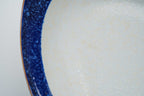 Mikawachi ware "Lazuri" curry/pasta dish
